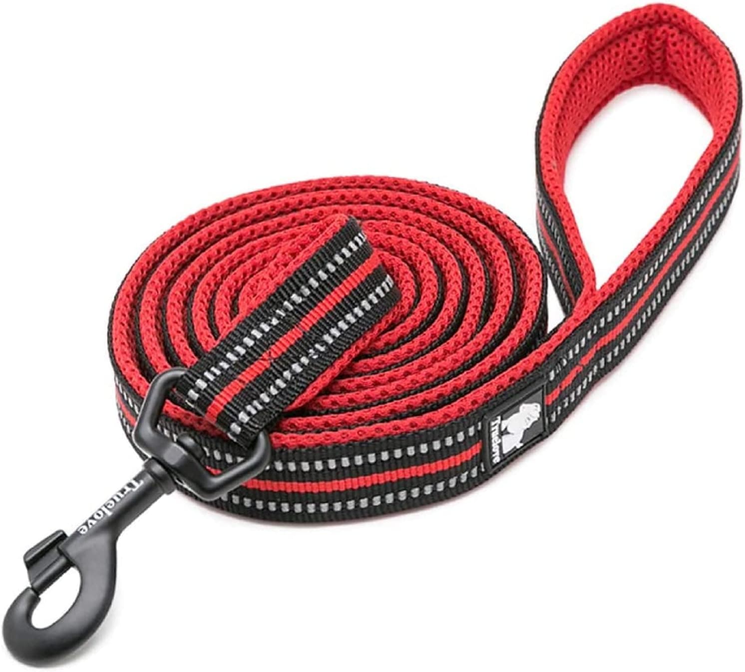 TRUE LOVE Reflective Nylon Dog Leash