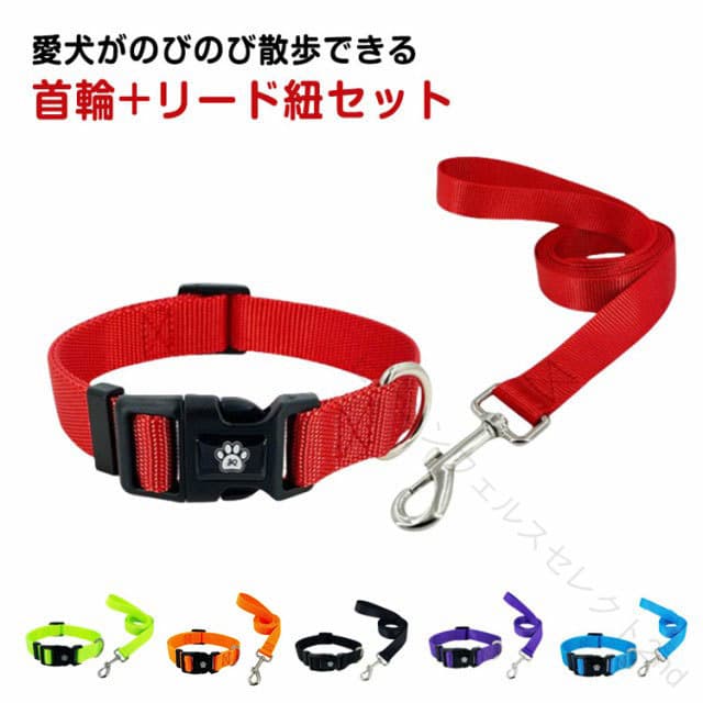 Nylon Collar + Leash Set for Dogs (Rakuten)